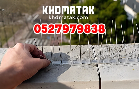 شركة مكافحة الحمام في دبي 0527979838 شركة مكافحة الحمام في دبي 0527979838
