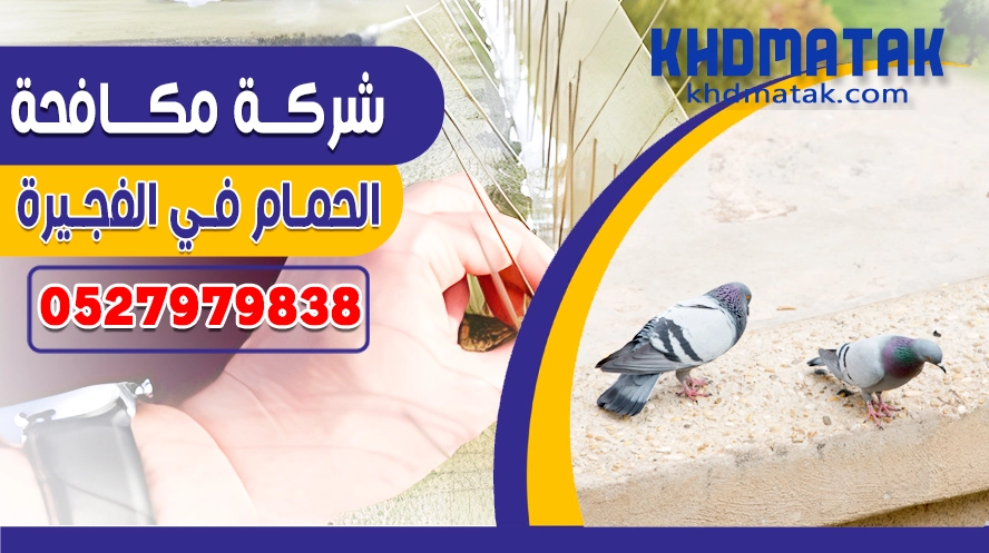 شركة مكافحة الحمام في الفجيرة 0527979838 | تركيب طارد حمام