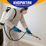 شركة مكافحة حشرات في كلباء