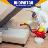 شركة رش حشرات في خورفكان