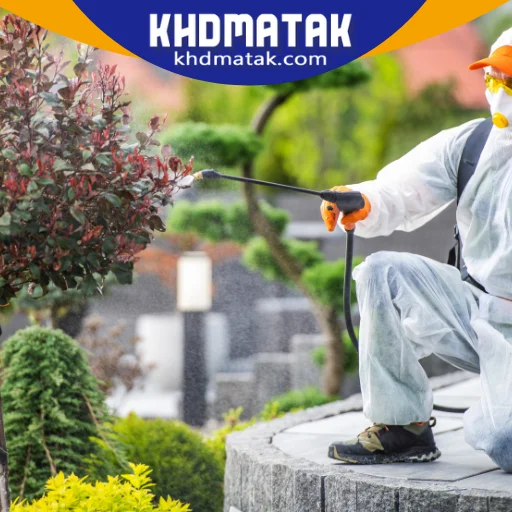 أفضل شركات مكافحة الحشرات في الإمارات أفضل شركات مكافحة الحشرات في الإمارات